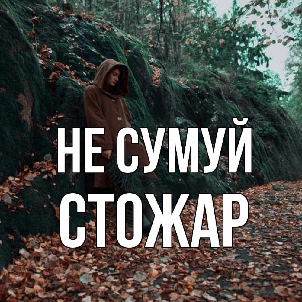 Открытка на каждый день з підписом, Стожар Не сумуй осенний лес Прикольна листівка з побажанням онлайн скачати безкоштовно 