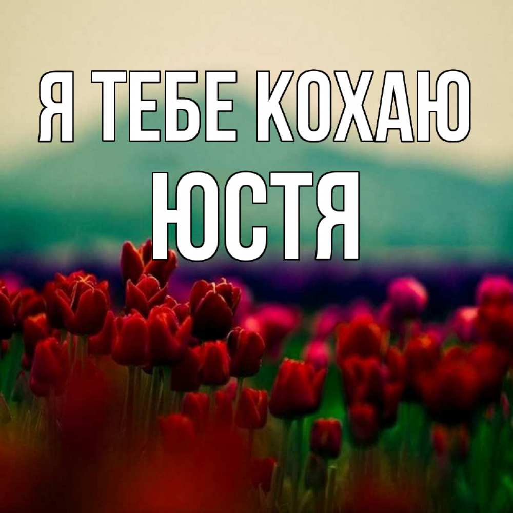 Открытка на каждый день з підписом, Юстя Я тебе кохаю тюльпаны 4 Прикольна листівка з побажанням онлайн скачати безкоштовно 