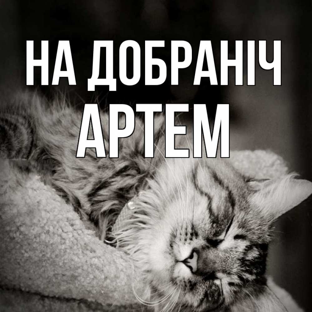 Открытка на каждый день з підписом, Артем На добраніч котярик пушистый Прикольна листівка з побажанням онлайн скачати безкоштовно 