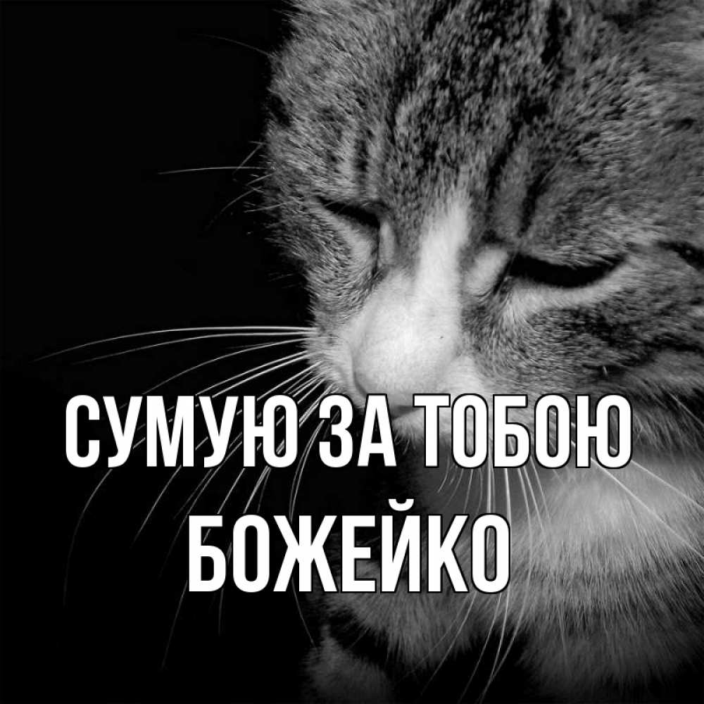 Открытка на каждый день з підписом, Божейко Сумую за тобою мне скучно Прикольна листівка з побажанням онлайн скачати безкоштовно 