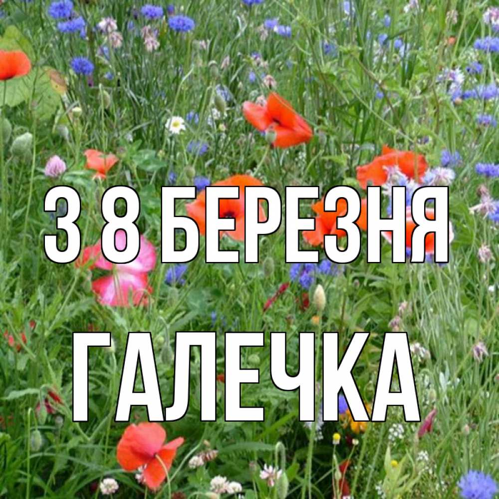 Открытка на каждый день з підписом, Галечка З 8 БЕРЕЗНЯ международный женский день 4 Прикольна листівка з побажанням онлайн скачати безкоштовно 