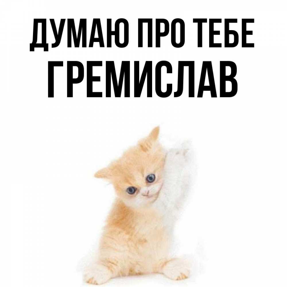 Открытка на каждый день з підписом, Гремислав Думаю про тебе зверушки и милота Прикольна листівка з побажанням онлайн скачати безкоштовно 
