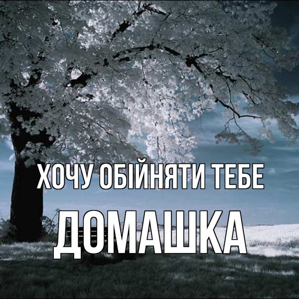 Открытка на каждый день з підписом, Домашка Хочу обійняти тебе дерево Прикольна листівка з побажанням онлайн скачати безкоштовно 