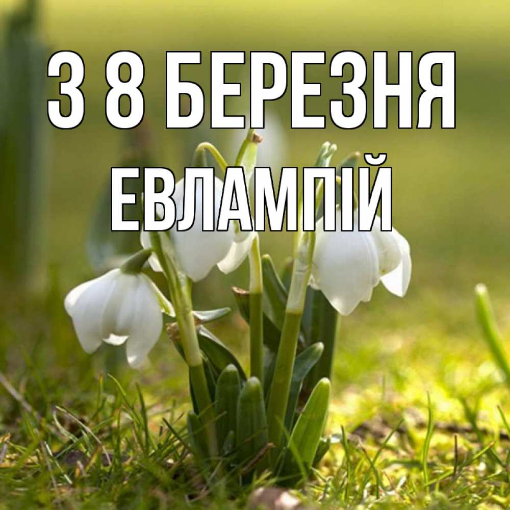 Открытка на каждый день з підписом, Евлампій З 8 БЕРЕЗНЯ ранние цветы 2 Прикольна листівка з побажанням онлайн скачати безкоштовно 