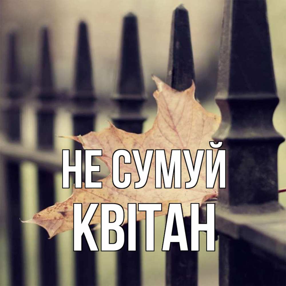 Открытка на каждый день з підписом, Квітан Не сумуй лист клена Прикольна листівка з побажанням онлайн скачати безкоштовно 