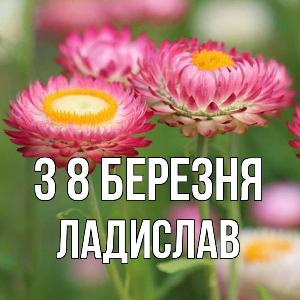 Открытка на каждый день з підписом, Ладислав З 8 БЕРЕЗНЯ подарок на международный женский день Прикольна листівка з побажанням онлайн скачати безкоштовно 