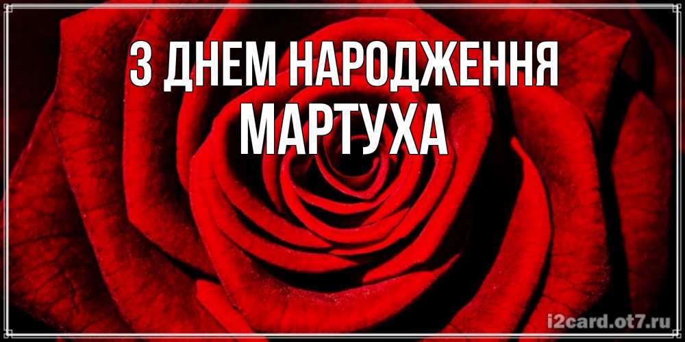 Открытка на каждый день з підписом, Мартуха З Днем народження алая роза Прикольна листівка з побажанням онлайн скачати безкоштовно 
