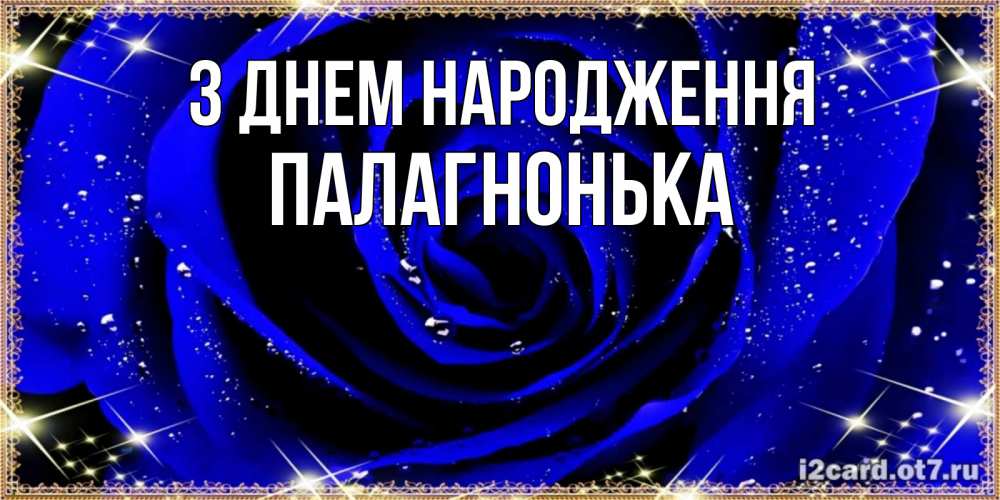 Открытка на каждый день з підписом, Палагнонька З Днем народження голубые цветы в росе Прикольна листівка з побажанням онлайн скачати безкоштовно 