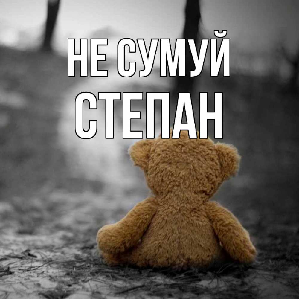 Открытка на каждый день з підписом, Степан Не сумуй медведь со спин Прикольна листівка з побажанням онлайн скачати безкоштовно 