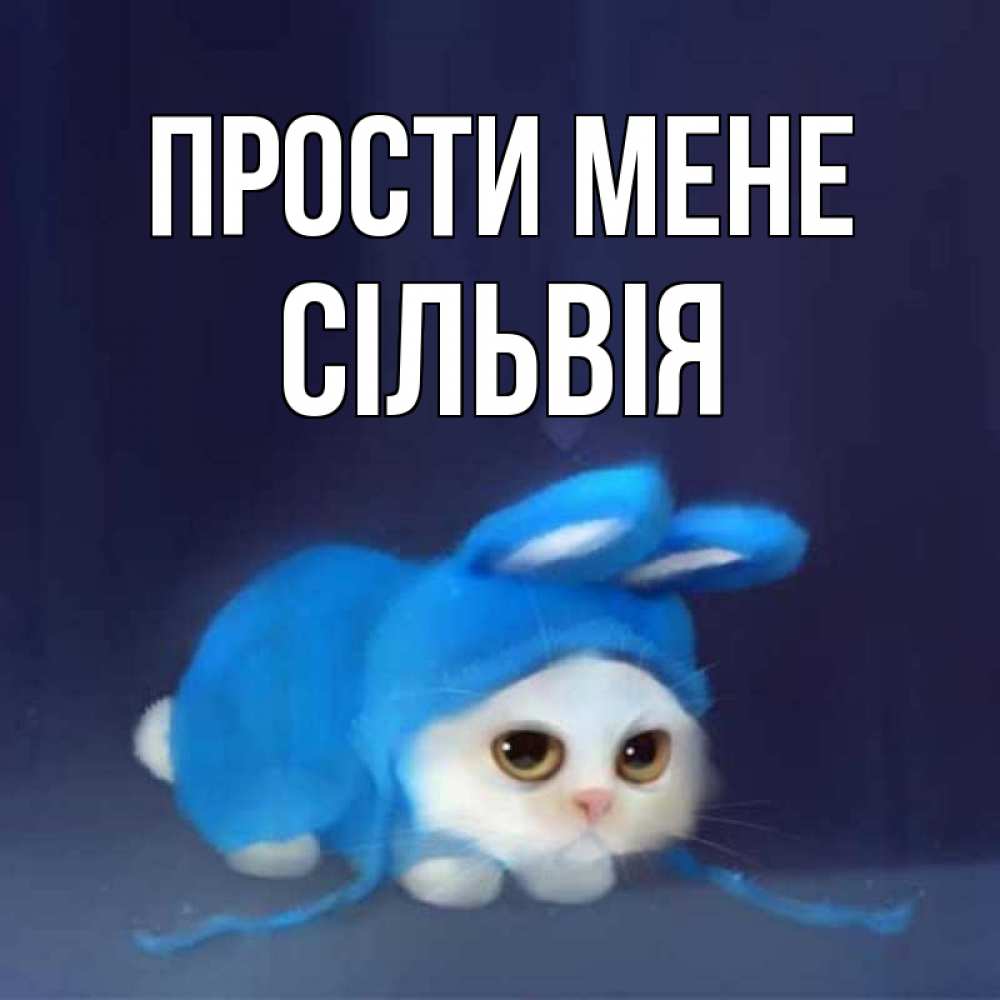 Открытка на каждый день з підписом, Сільвія Прости мене невинный котозай просит прощения Прикольна листівка з побажанням онлайн скачати безкоштовно 