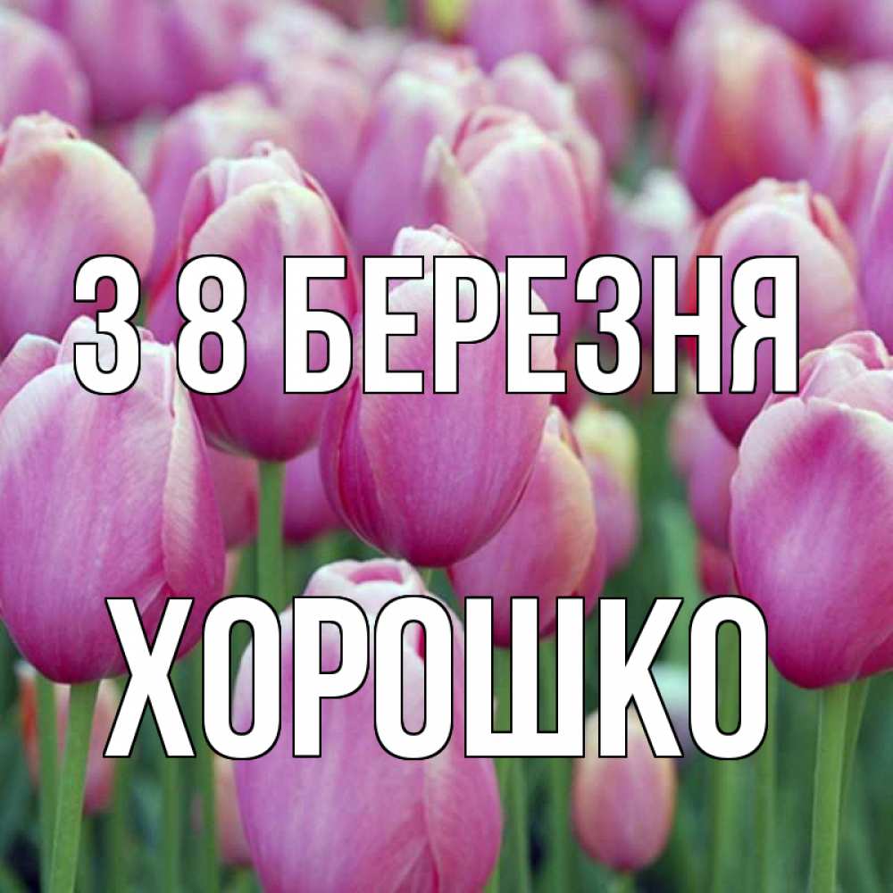 Открытка на каждый день з підписом, Хорошко З 8 БЕРЕЗНЯ на международный женский день 3 Прикольна листівка з побажанням онлайн скачати безкоштовно 