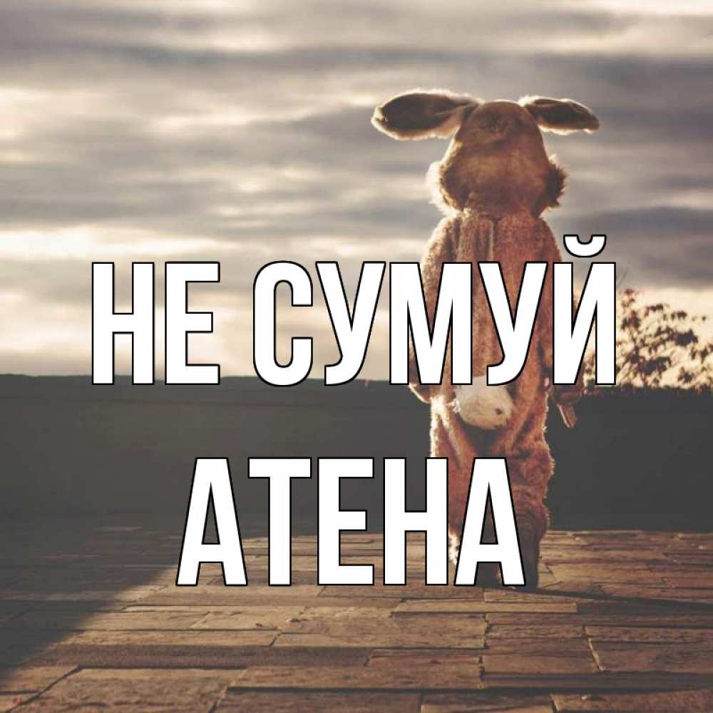 Открытка на каждый день з підписом, Атена Не сумуй со спины Прикольна листівка з побажанням онлайн скачати безкоштовно 
