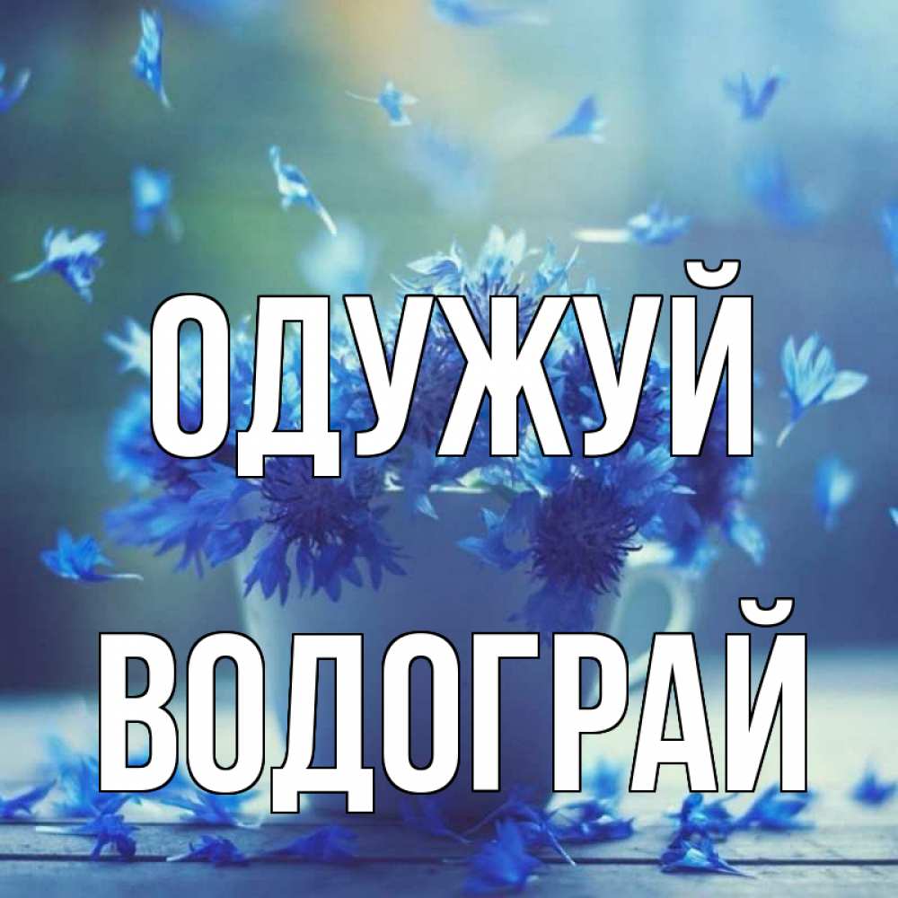 Открытка на каждый день з підписом, Водограй Одужуй кружка с зельем и цветами Прикольна листівка з побажанням онлайн скачати безкоштовно 
