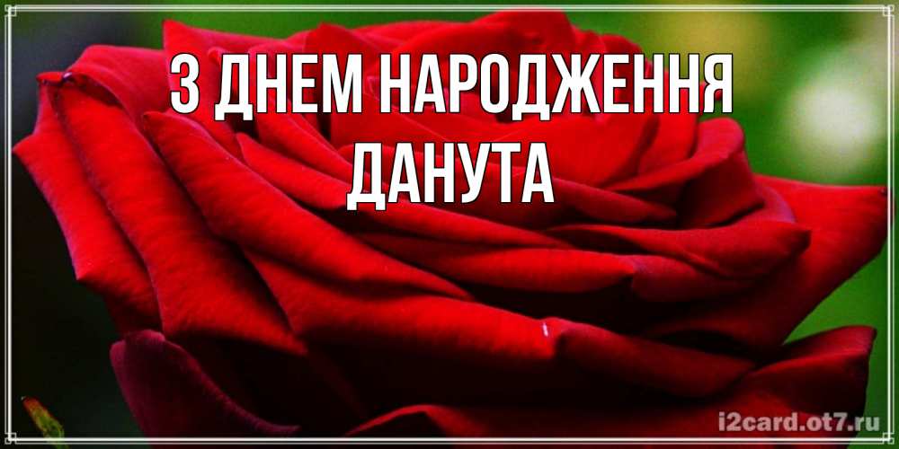 Открытка на каждый день з підписом, Данута З Днем народження розочка очень красивая Прикольна листівка з побажанням онлайн скачати безкоштовно 