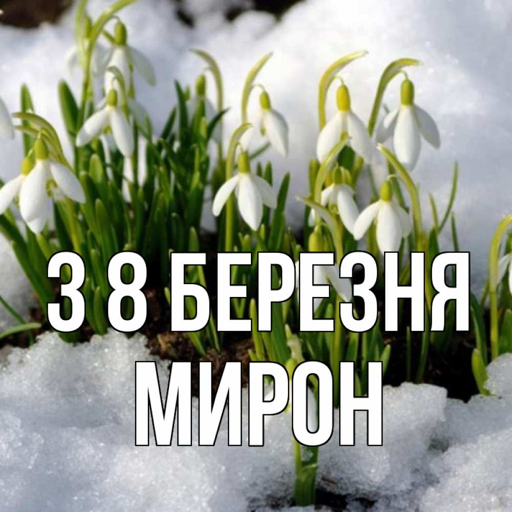 Открытка на каждый день з підписом, Мирон З 8 БЕРЕЗНЯ цветы весенние Прикольна листівка з побажанням онлайн скачати безкоштовно 