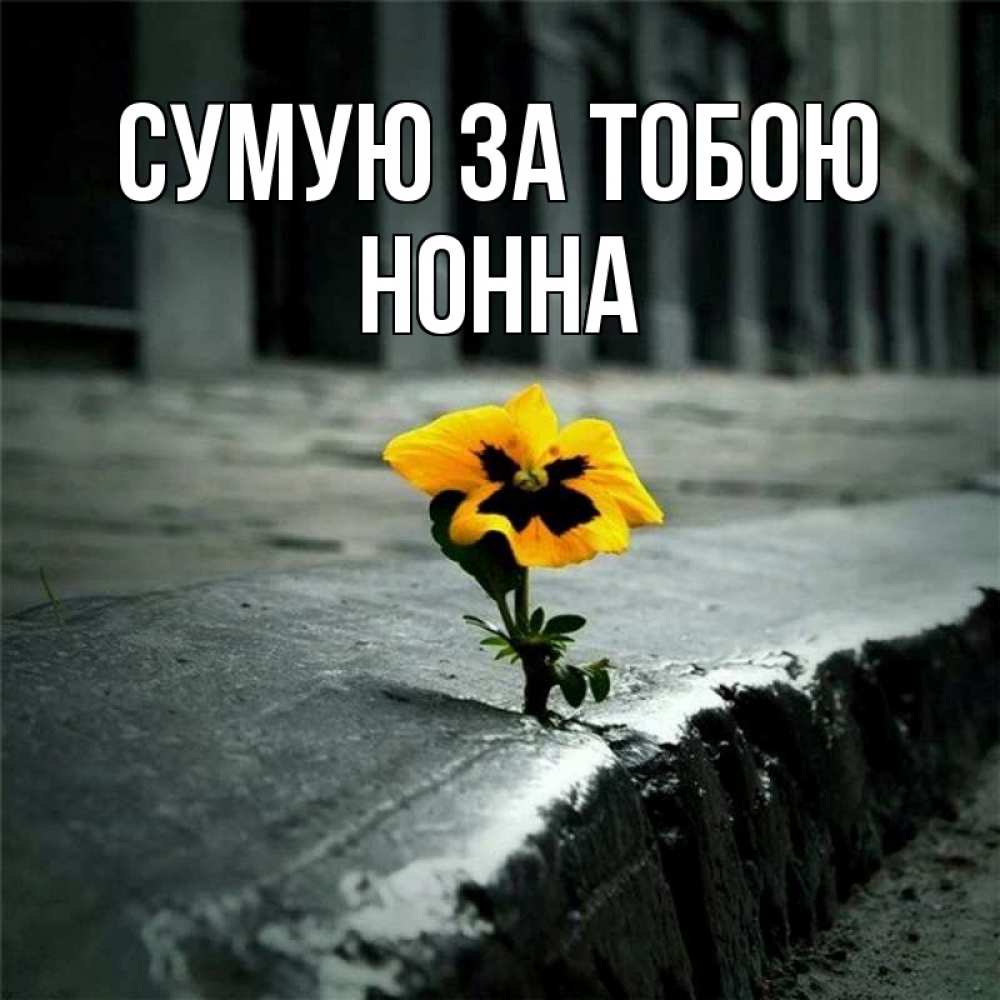 Открытка на каждый день з підписом, Нонна Сумую за тобою надеюсь будет лучше Прикольна листівка з побажанням онлайн скачати безкоштовно 