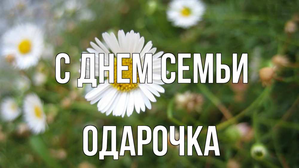 Открытка на каждый день з підписом, Одарочка С днем семьи с днем семьи Прикольна листівка з побажанням онлайн скачати безкоштовно 