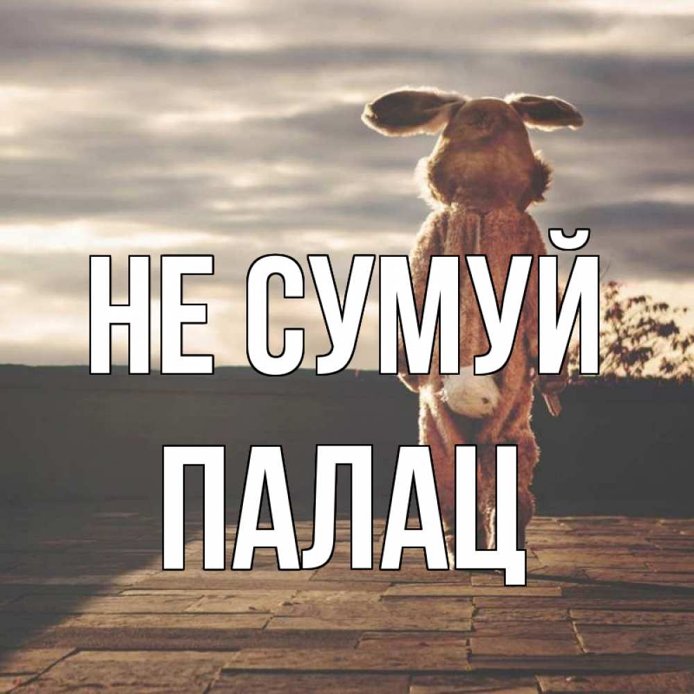 Открытка на каждый день з підписом, Палац Не сумуй со спины Прикольна листівка з побажанням онлайн скачати безкоштовно 