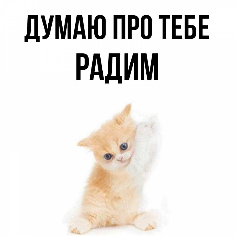 Открытка на каждый день з підписом, Радим Думаю про тебе зверушки и милота Прикольна листівка з побажанням онлайн скачати безкоштовно 