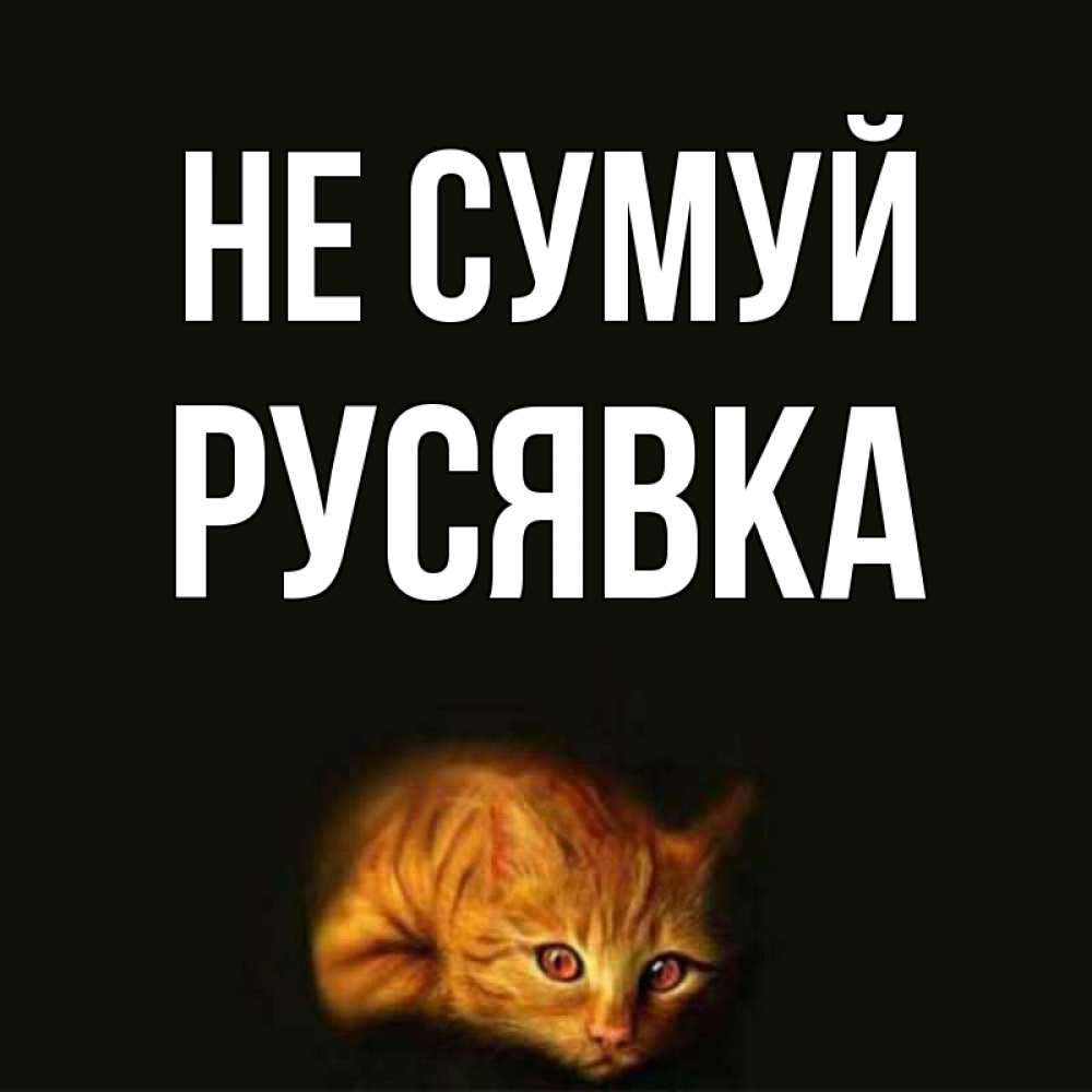 Открытка на каждый день з підписом, Русявка Не сумуй лежащий кот в темноте Прикольна листівка з побажанням онлайн скачати безкоштовно 