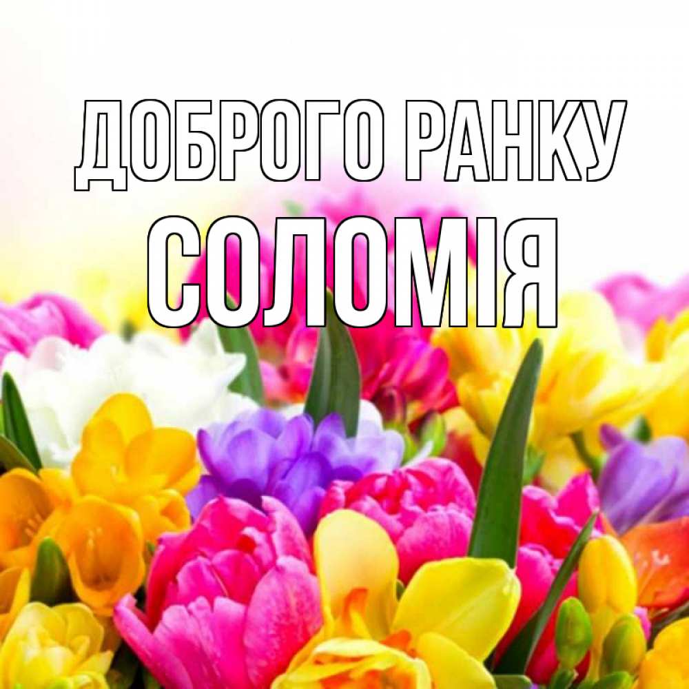 Открытка на каждый день з підписом, Соломія Доброго ранку создать открытку со свое подписью Прикольна листівка з побажанням онлайн скачати безкоштовно 