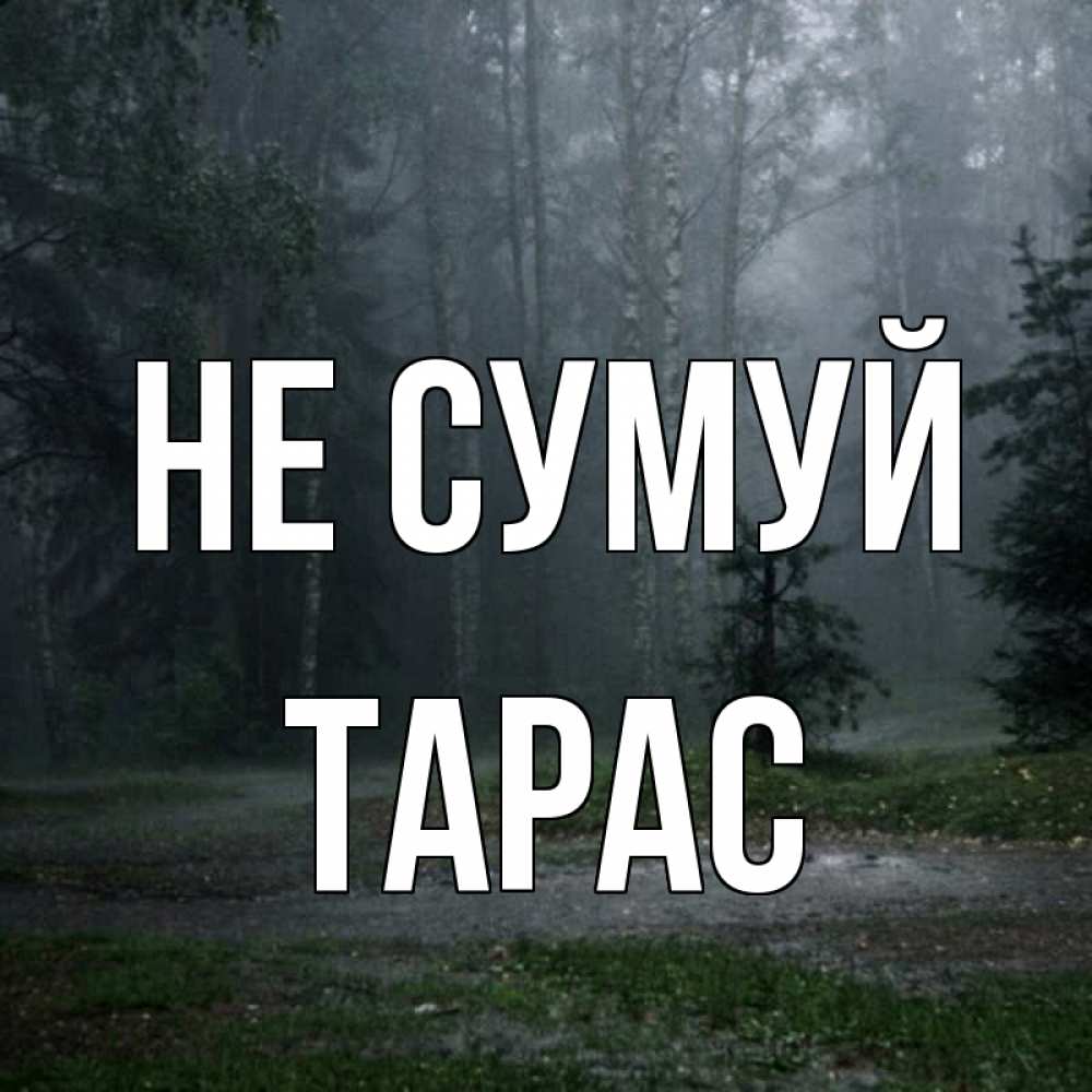 Открытка на каждый день з підписом, Тарас Не сумуй осень Прикольна листівка з побажанням онлайн скачати безкоштовно 