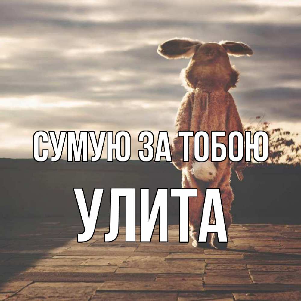 Открытка на каждый день з підписом, Улита Сумую за тобою даже в костюме зайца Прикольна листівка з побажанням онлайн скачати безкоштовно 