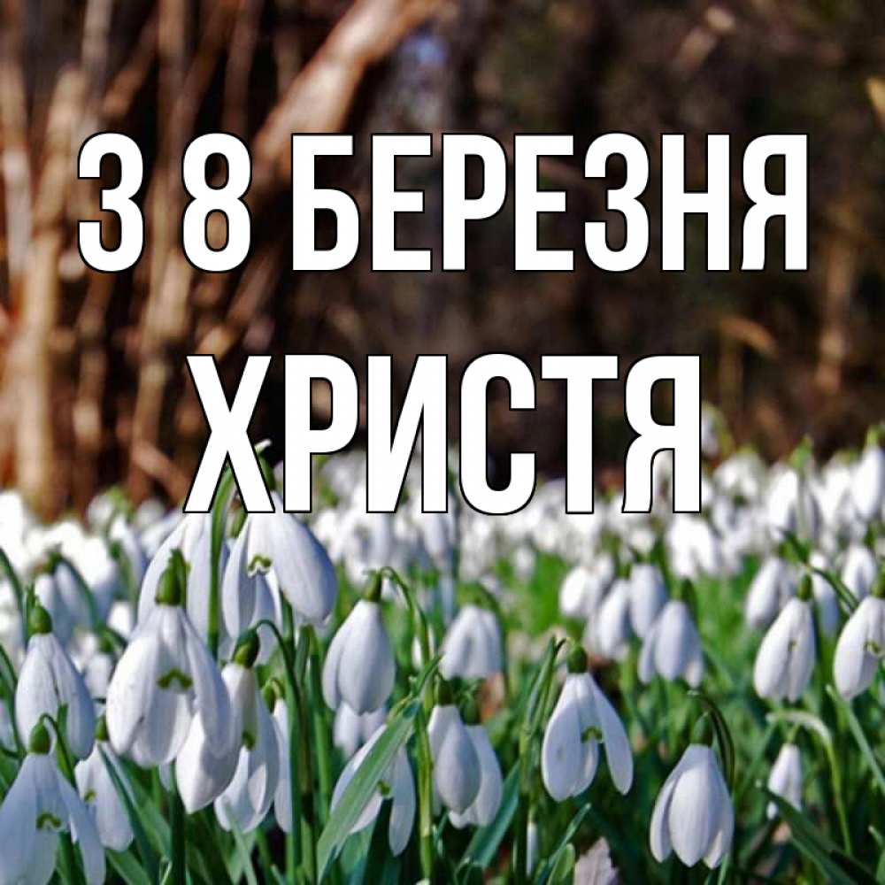 Открытка на каждый день з підписом, Христя З 8 БЕРЕЗНЯ с подснежниками 1 Прикольна листівка з побажанням онлайн скачати безкоштовно 
