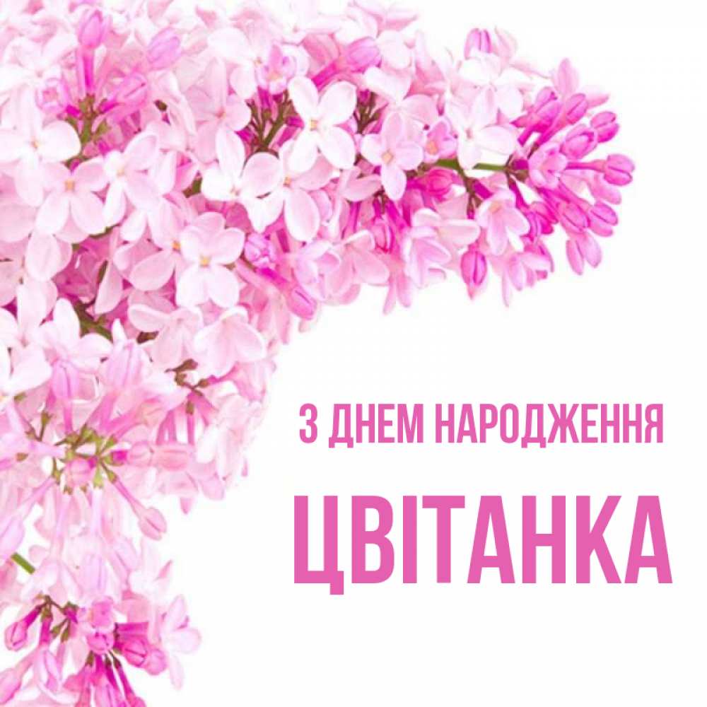 Открытка на каждый день з підписом, Цвітанка З Днем народження Сирень на белом фоне Прикольна листівка з побажанням онлайн скачати безкоштовно 