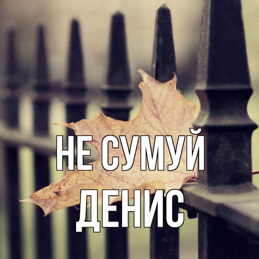 Открытка на каждый день з підписом, Денис Не сумуй лист клена Прикольна листівка з побажанням онлайн скачати безкоштовно 