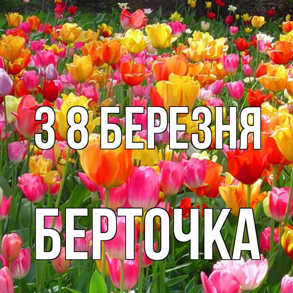 Открытка на каждый день з підписом, Берточка З 8 БЕРЕЗНЯ на международный женский день Прикольна листівка з побажанням онлайн скачати безкоштовно 