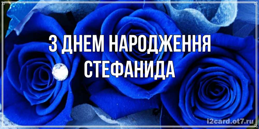 Открытка на каждый день з підписом, Стефанида З Днем народження синие розы в росе Прикольна листівка з побажанням онлайн скачати безкоштовно 