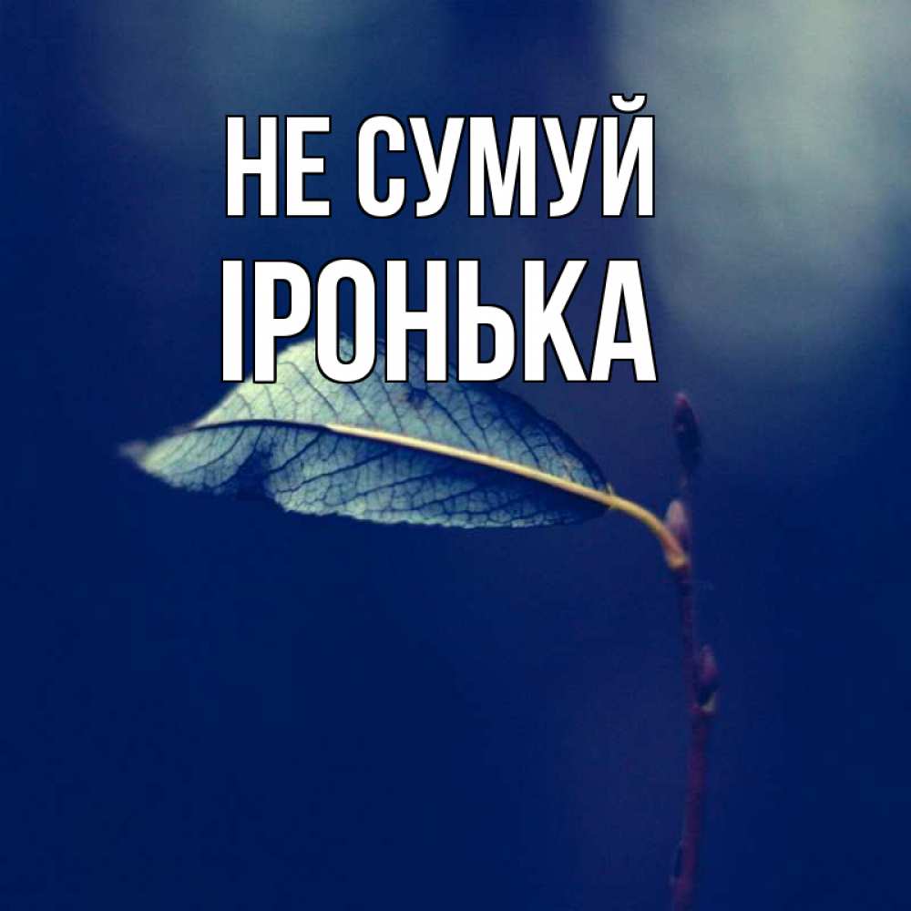 Открытка на каждый день з підписом, Іронька Не сумуй растение Прикольна листівка з побажанням онлайн скачати безкоштовно 