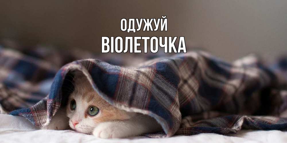 Открытка на каждый день з підписом, Віолеточка Одужуй не болейте с котиком Прикольна листівка з побажанням онлайн скачати безкоштовно 