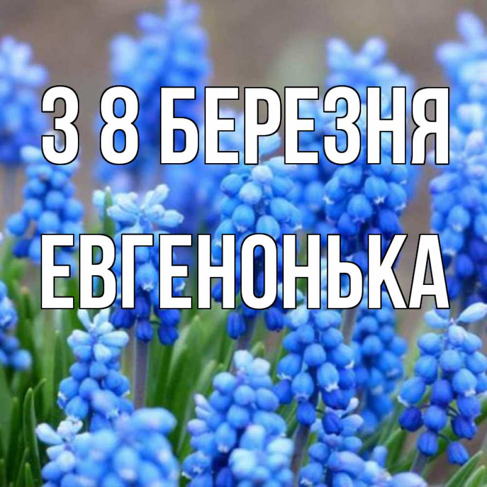 Открытка на каждый день з підписом, Евгенонька З 8 БЕРЕЗНЯ Поздравительная открытка для женщин с цветами на праздничную дату Прикольна листівка з побажанням онлайн скачати безкоштовно 