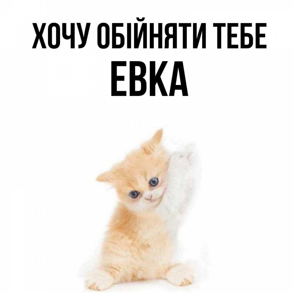 Открытка на каждый день з підписом, Евка Хочу обійняти тебе я хочу очень скорее обнимаешек Прикольна листівка з побажанням онлайн скачати безкоштовно 