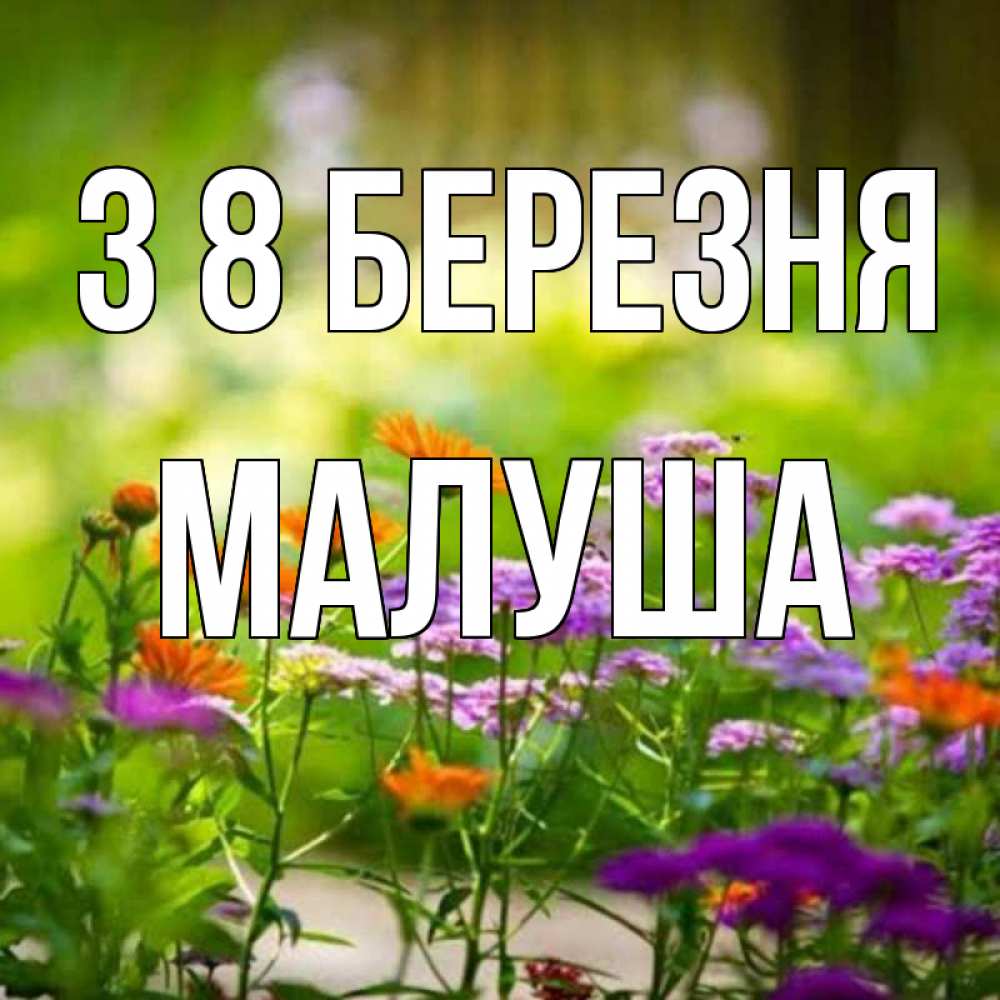 Открытка на каждый день з підписом, Малуша З 8 БЕРЕЗНЯ цветы Прикольна листівка з побажанням онлайн скачати безкоштовно 
