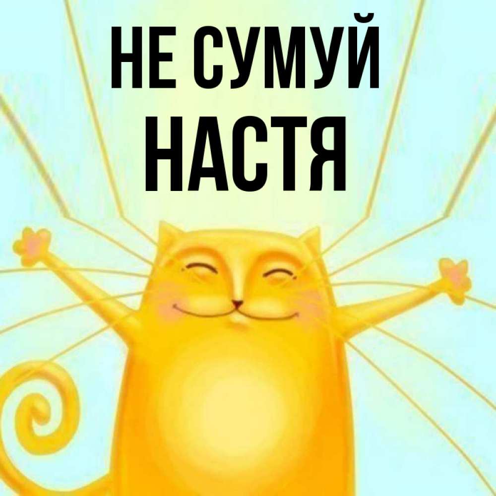 Открытка на каждый день з підписом, Настя Не сумуй обнимашки усатые Прикольна листівка з побажанням онлайн скачати безкоштовно 