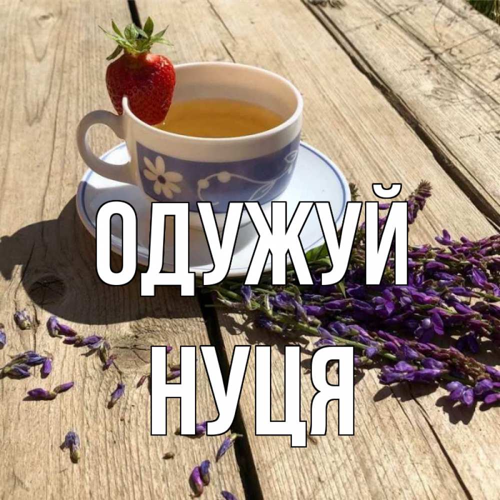 Открытка на каждый день з підписом, Нуця Одужуй чай Прикольна листівка з побажанням онлайн скачати безкоштовно 