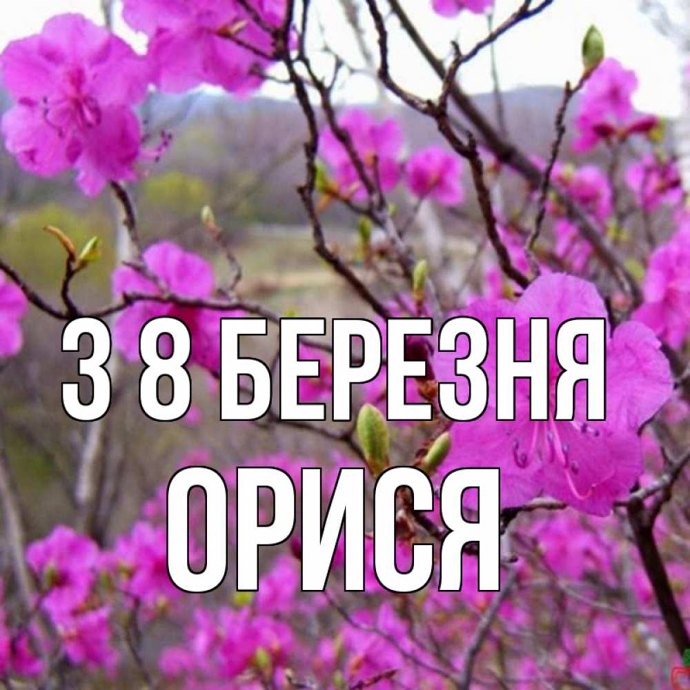 Открытка на каждый день з підписом, Орися З 8 БЕРЕЗНЯ международный женский день Прикольна листівка з побажанням онлайн скачати безкоштовно 