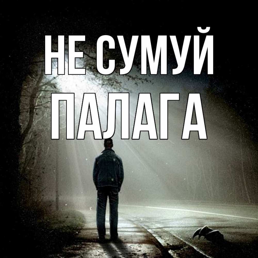 Открытка на каждый день з підписом, Палага Не сумуй свет с неба в лесу Прикольна листівка з побажанням онлайн скачати безкоштовно 