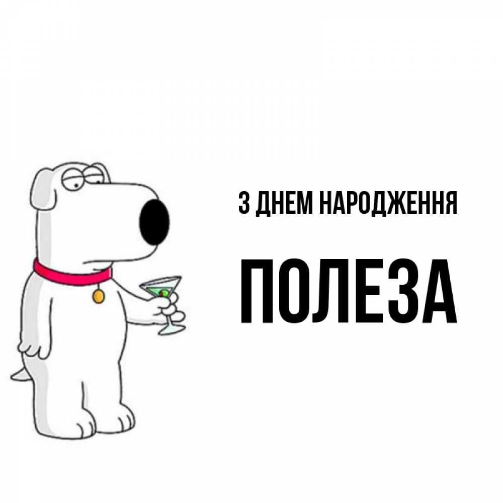 Открытка на каждый день з підписом, Полеза З Днем народження песик с оливками Прикольна листівка з побажанням онлайн скачати безкоштовно 