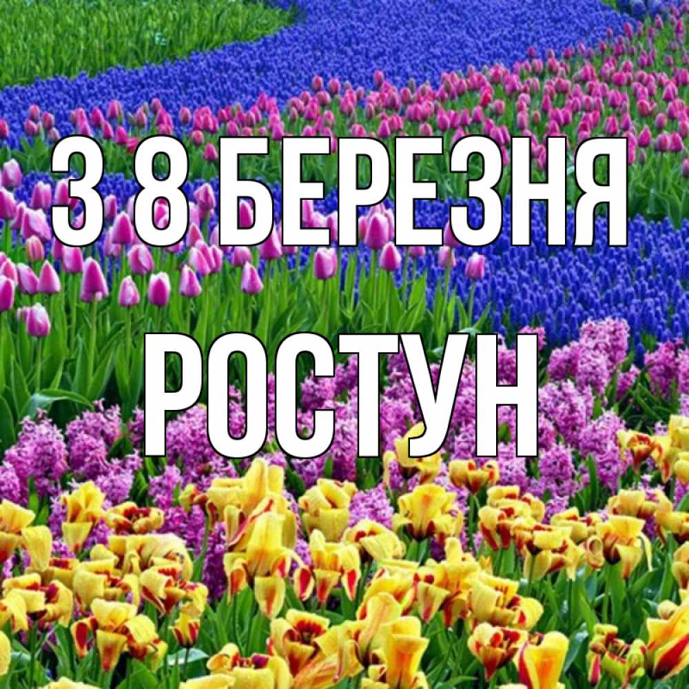 Открытка на каждый день з підписом, Ростун З 8 БЕРЕЗНЯ цветы Прикольна листівка з побажанням онлайн скачати безкоштовно 