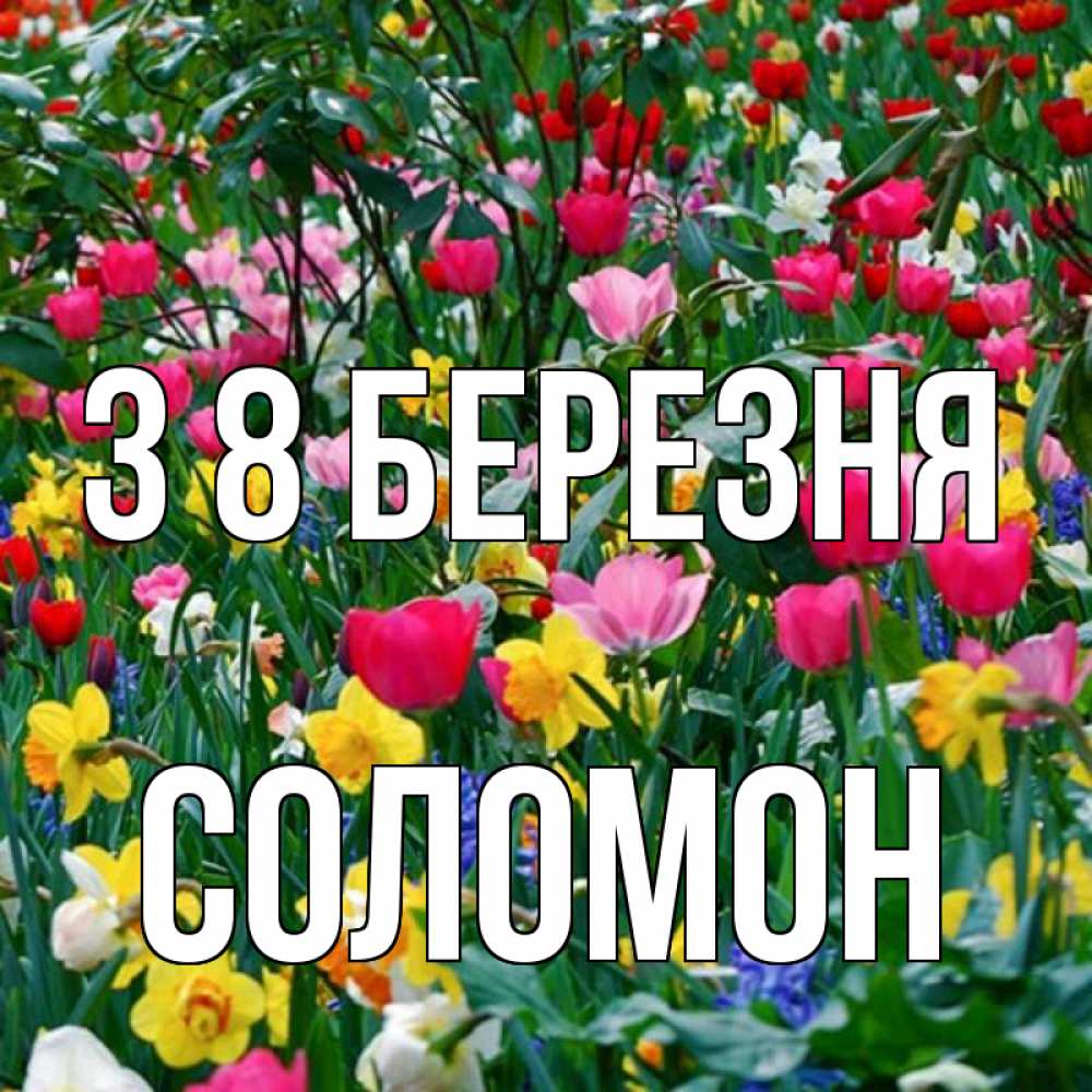 Открытка на каждый день з підписом, Соломон З 8 БЕРЕЗНЯ с международным женским днем поздравления для женщины Прикольна листівка з побажанням онлайн скачати безкоштовно 
