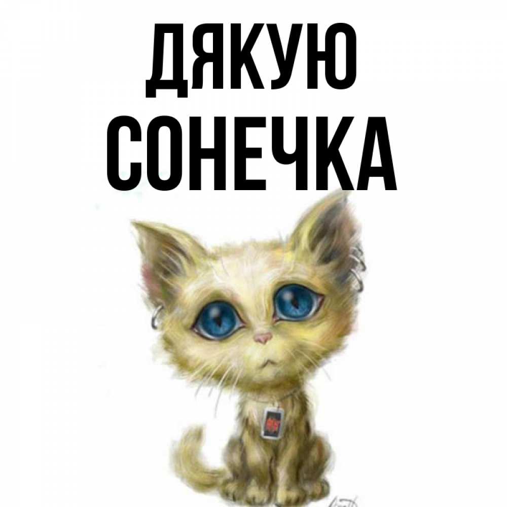 Открытка на каждый день з підписом, Сонечка Дякую рисованный кот благодарит вас Прикольна листівка з побажанням онлайн скачати безкоштовно 