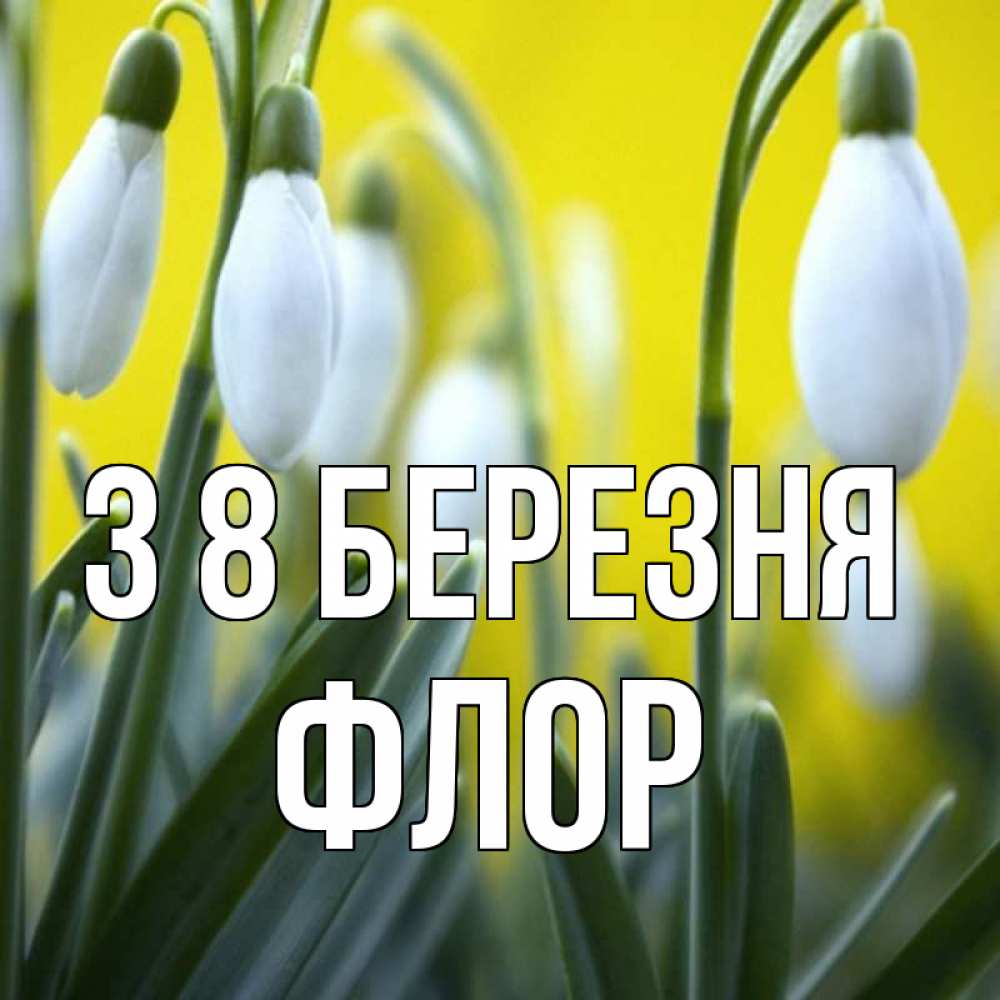 Открытка на каждый день з підписом, Флор З 8 БЕРЕЗНЯ весенние цветы Прикольна листівка з побажанням онлайн скачати безкоштовно 