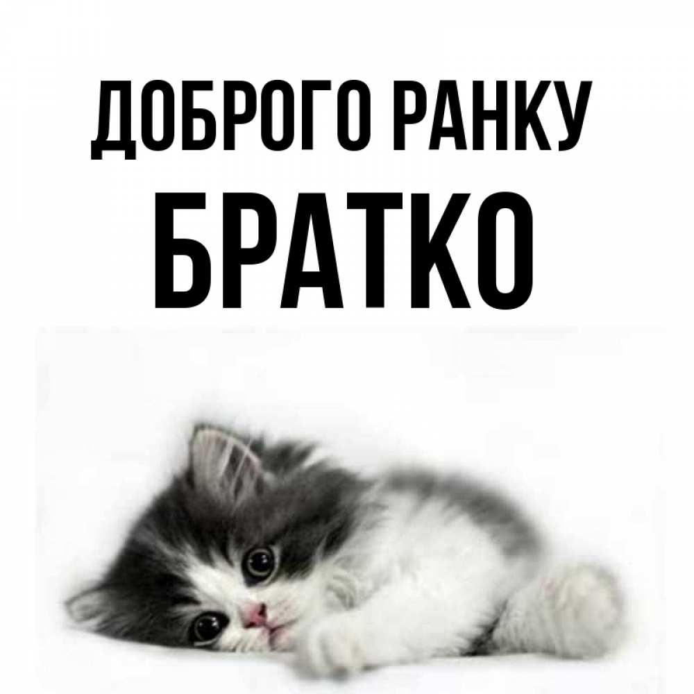 Открытка на каждый день з підписом, Братко Доброго ранку кот лапки Прикольна листівка з побажанням онлайн скачати безкоштовно 