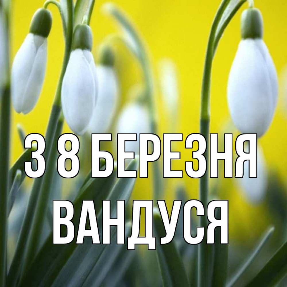 Открытка на каждый день з підписом, Вандуся З 8 БЕРЕЗНЯ весенние цветы Прикольна листівка з побажанням онлайн скачати безкоштовно 