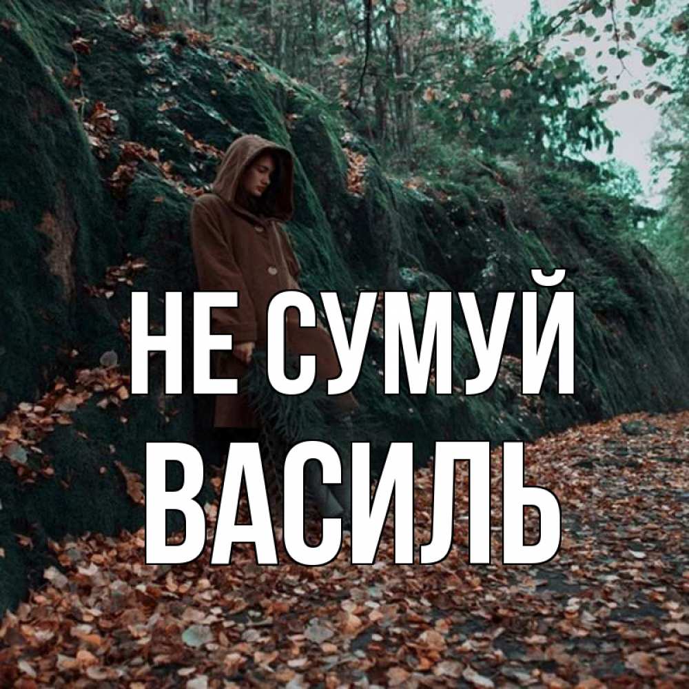 Открытка на каждый день з підписом, Василь Не сумуй осенний лес Прикольна листівка з побажанням онлайн скачати безкоштовно 