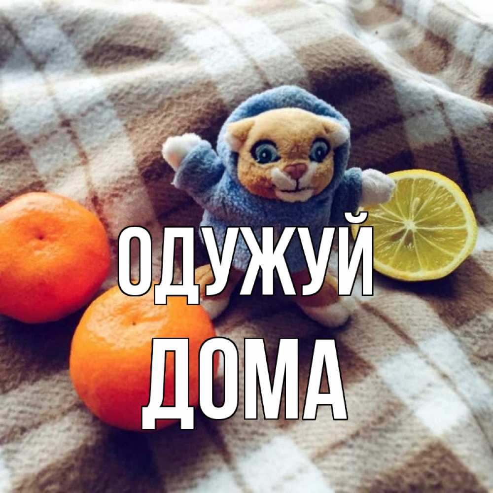 Открытка на каждый день з підписом, Дома Одужуй вот тебе апельсинка и лимон Прикольна листівка з побажанням онлайн скачати безкоштовно 